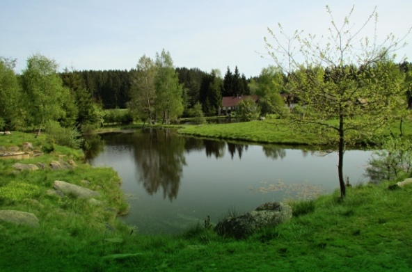 chytání ryb - rybaření na Lipně a v Českém Krumlově